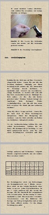 ebook vorshaubild 2